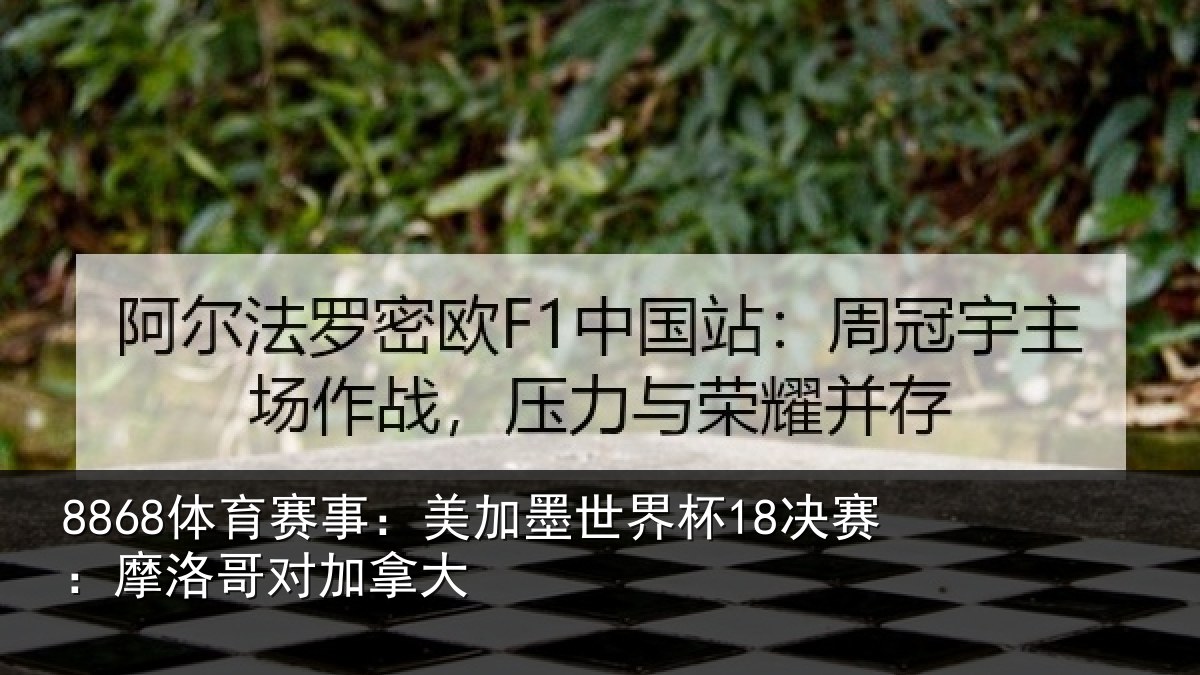 8868体育赛事：美加墨世界杯18决赛：摩洛哥对加拿大