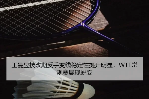 wang-man-yu-ji-gai-qi-fan-shou-bian-xian-wen-ding-xing-ti-sheng-ming-xian-chang-gui-sai-zhan-xian-tui-bian-3-596.jpg