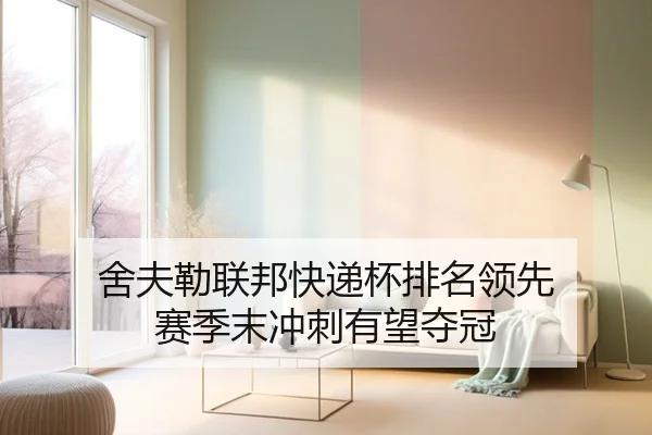 she-fu-lei-lian-bang-kuai-di-bei-pai-ming-ling-xian-sai-ji-mo-chong-ci-you-wang-duo-guan-3-269.jpg