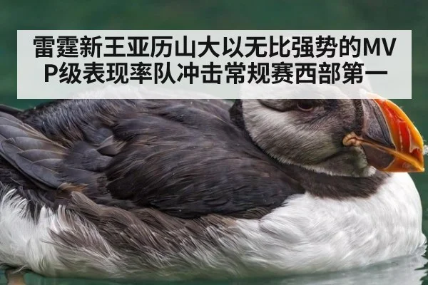 雷霆新王亚历山大以无比强势的MVP级表现率队冲击常规赛西部第一